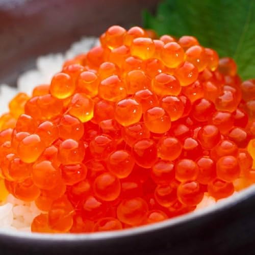 訳あり いくら醤油漬け 1