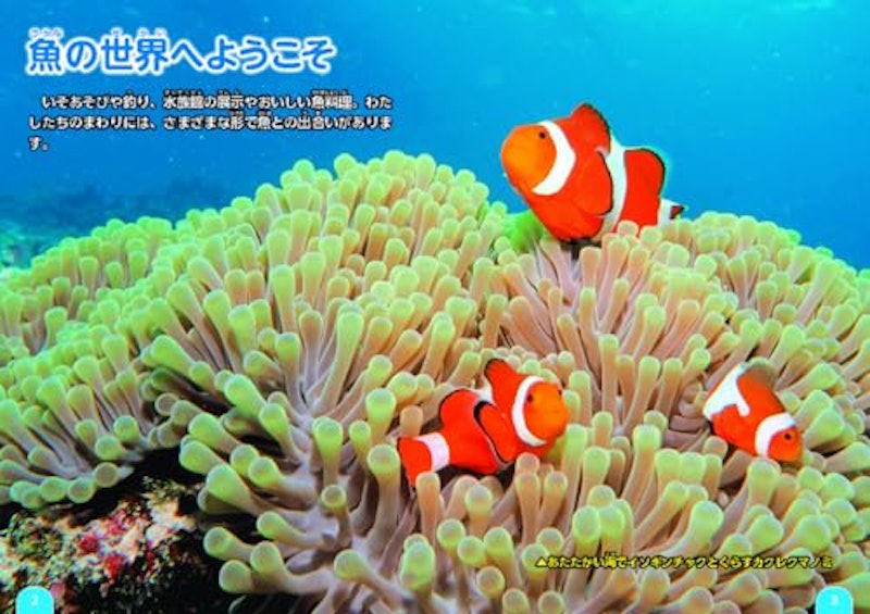 魚のクイズ図鑑 2