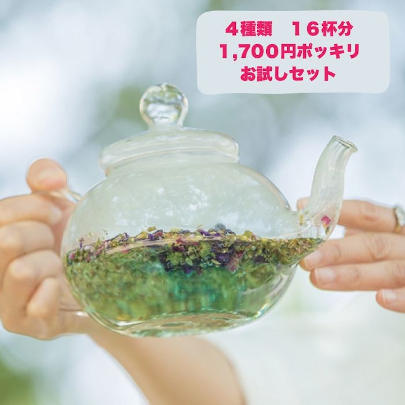 オーガニックハーブティー 1
