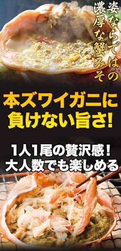 北海道産オオズワイガニ姿 4