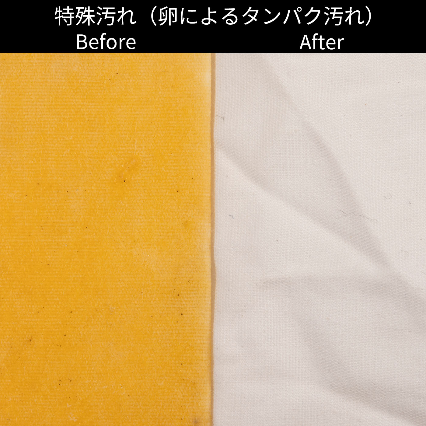 ドラム式洗濯乾燥機 12