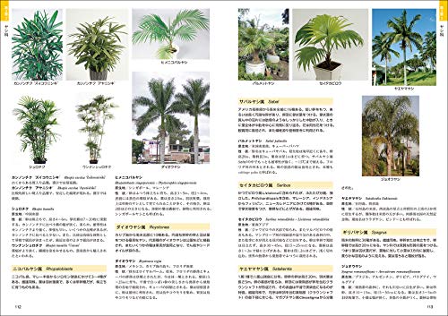 熱帯植物図鑑 3