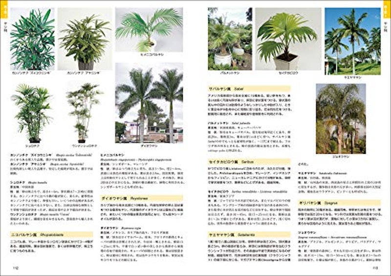 熱帯植物図鑑 3