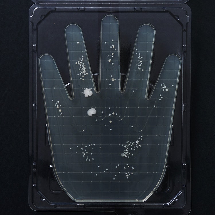 Leaf Botanics ハンドソープを全40商品と比較 口コミや評判を実際に使ってレビューしました Mybest