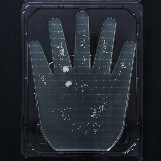 Leaf Botanics ハンドソープを全40商品と比較 口コミや評判を実際に使ってレビューしました Mybest Leaf Botanics ハンドソープを全40商品と比較 口コミや評判を実際に使ってレビューしました Mybest