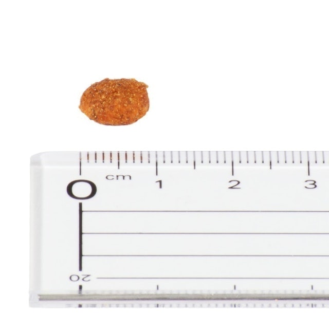 カルカンドライ毛玉ケア かつおとチキン味を全30商品と比較 口コミや評判を実際に使ってレビューしました Mybest カルカンドライ毛玉ケア かつおとチキン味を全30商品と比較 口コミや評判を実際に使ってレビューしました Mybest