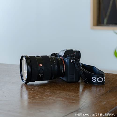 FE 24-70mm F2.8 GM II 20