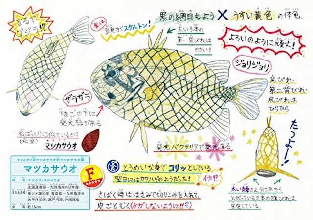 21年 魚図鑑のおすすめ人気ランキング15選 Mybest 21年 魚図鑑のおすすめ人気ランキング15選 Mybest