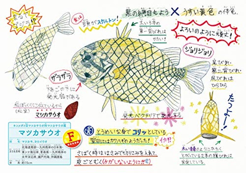 22年 魚図鑑のおすすめ人気ランキング15選 Mybest 22年 魚図鑑のおすすめ人気ランキング15選 Mybest