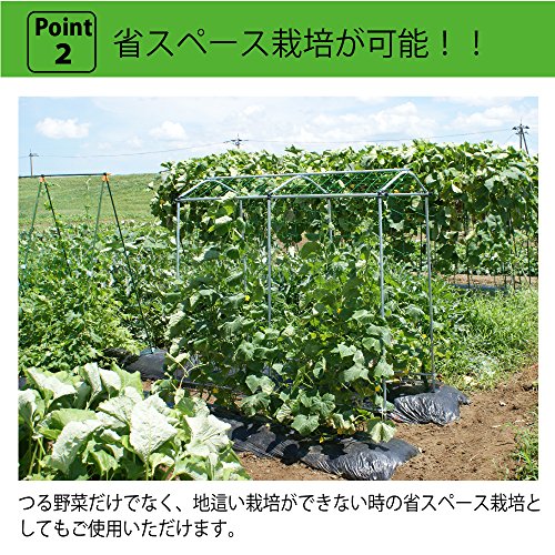 空中栽培 つる棚セット 5