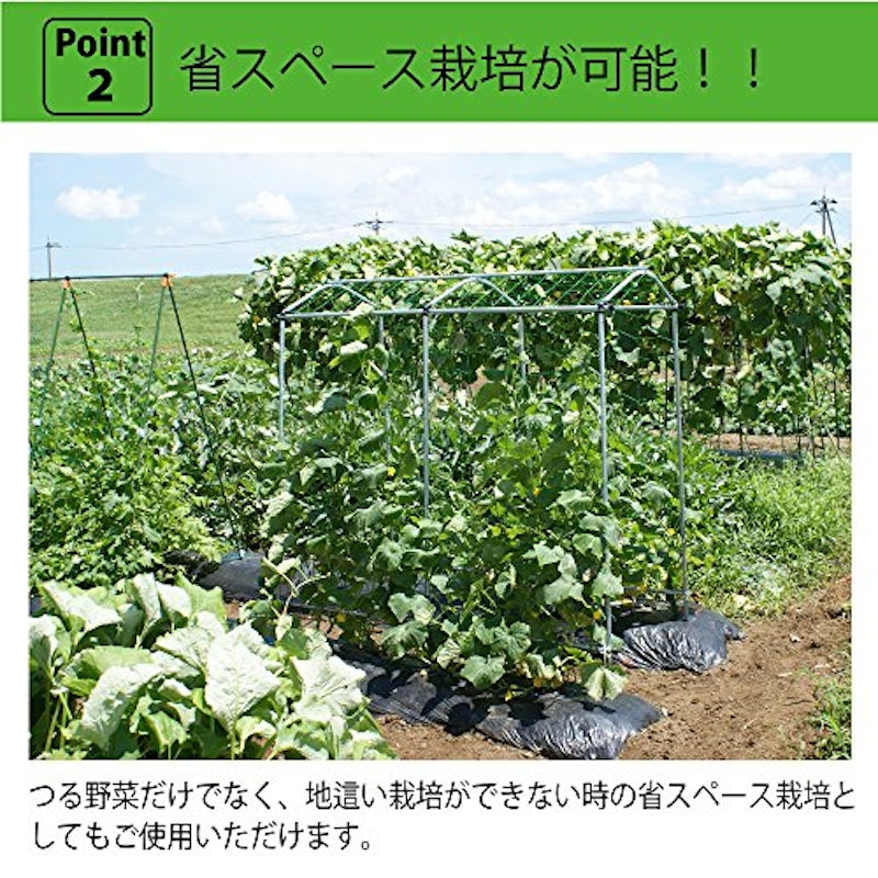 空中栽培 つる棚セット 5