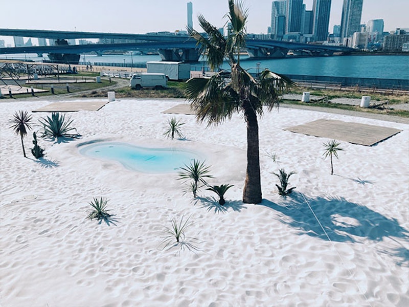 WILDMAGIC The Rainbow Farm 3