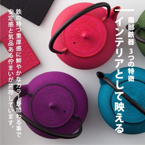 のレン ロジ・アソシエイツ 南部鉄器 急須 カラー ドーム霰 3