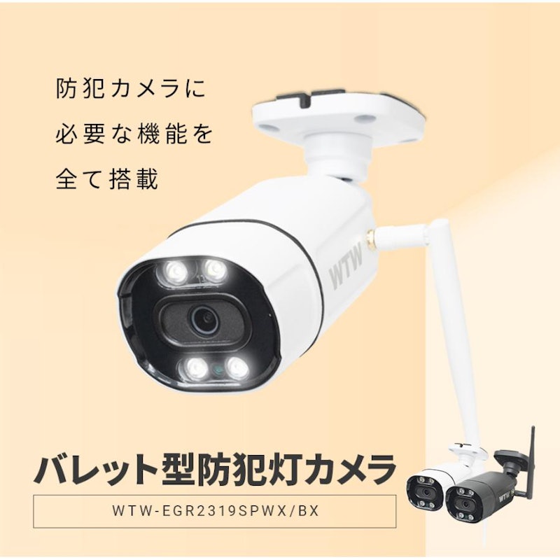 屋外仕様 防犯灯カメラ 2