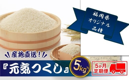全5回定期便 特Aも獲得した自慢のお米「元気つくし」5kg 1