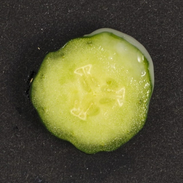 ラボラボ Vckeanaゲルを他商品と比較 口コミや評判を実際に使ってレビューしました Mybest ラボラボ Vckeanaゲルを他商品と比較 口コミや評判を実際に使ってレビューしました Mybest