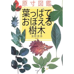 21年 樹木図鑑のおすすめ人気ランキング10選 Mybest 21年 樹木図鑑のおすすめ人気ランキング10選 Mybest