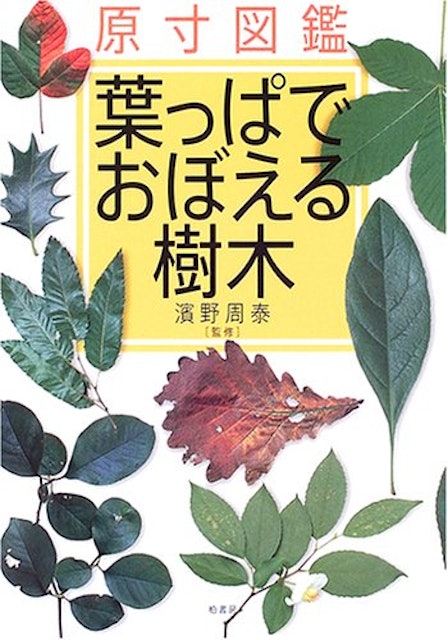 21年 樹木図鑑のおすすめ人気ランキング10選 Mybest 21年 樹木図鑑のおすすめ人気ランキング10選 Mybest