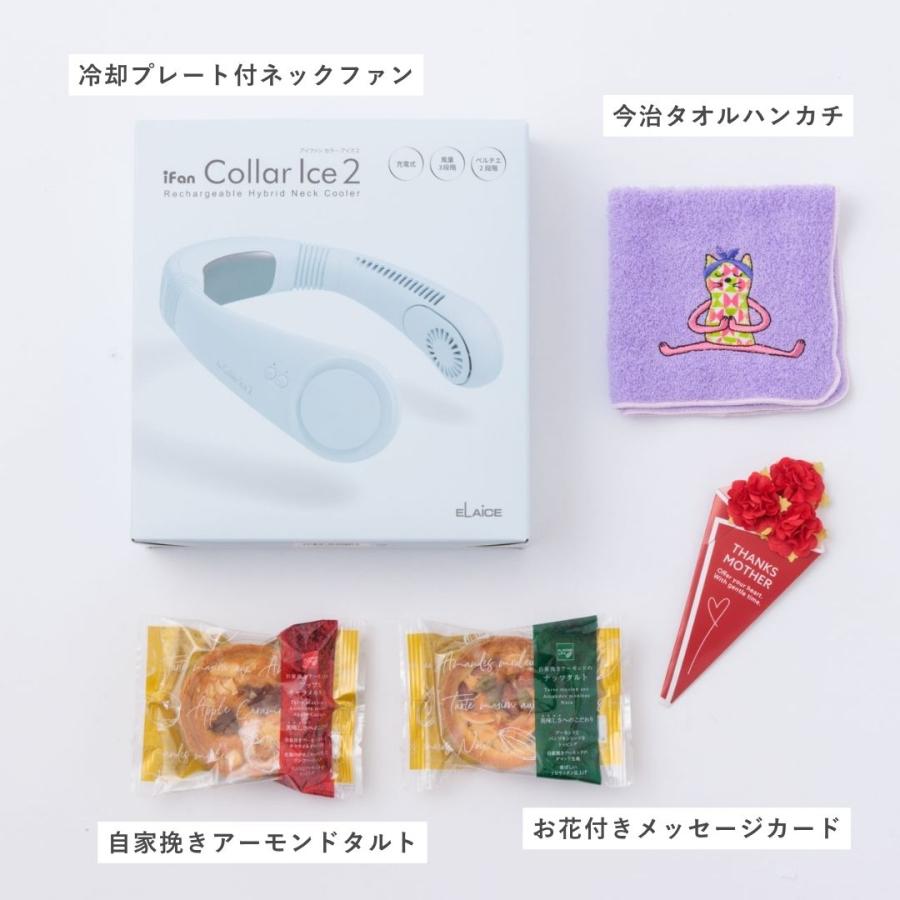 iFan Collar Ice 2 ギフトセット 2