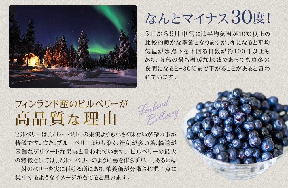 ビルベリー 5