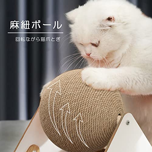 爪とぎ 5