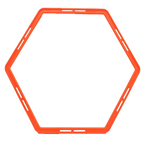 トレーニングラダー 2
