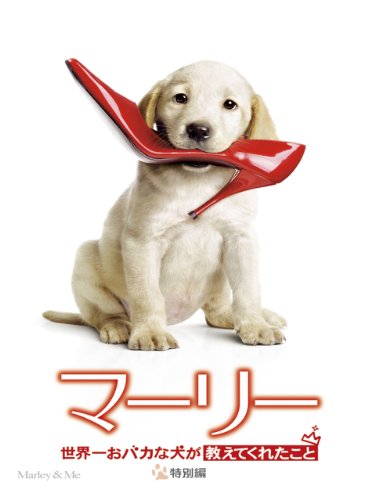 世界一おバカな犬が教えてくれたこと 1