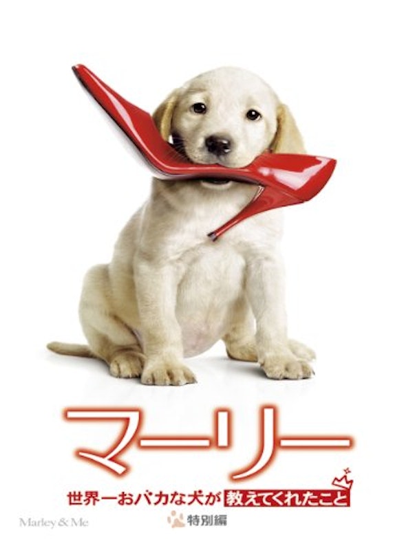 世界一おバカな犬が教えてくれたこと 1
