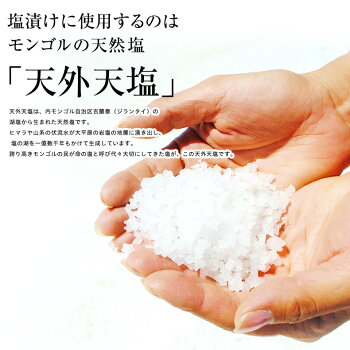 辛子明太子 一本羽  8