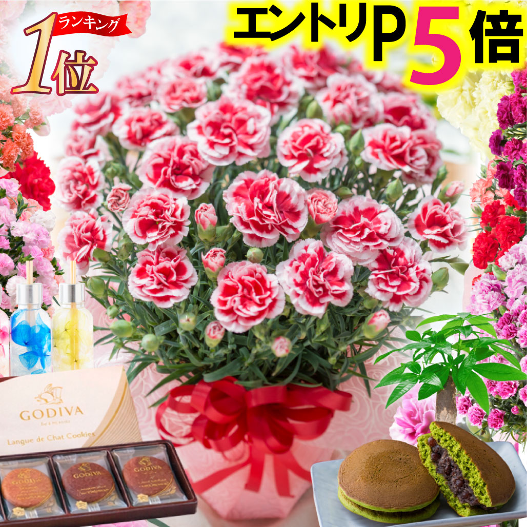 母の日向けお花プレゼントのおすすめ人気ランキング【2026年4月】 3