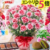 母の日向けお花プレゼントのおすすめ人気ランキング【2026年4月】 3