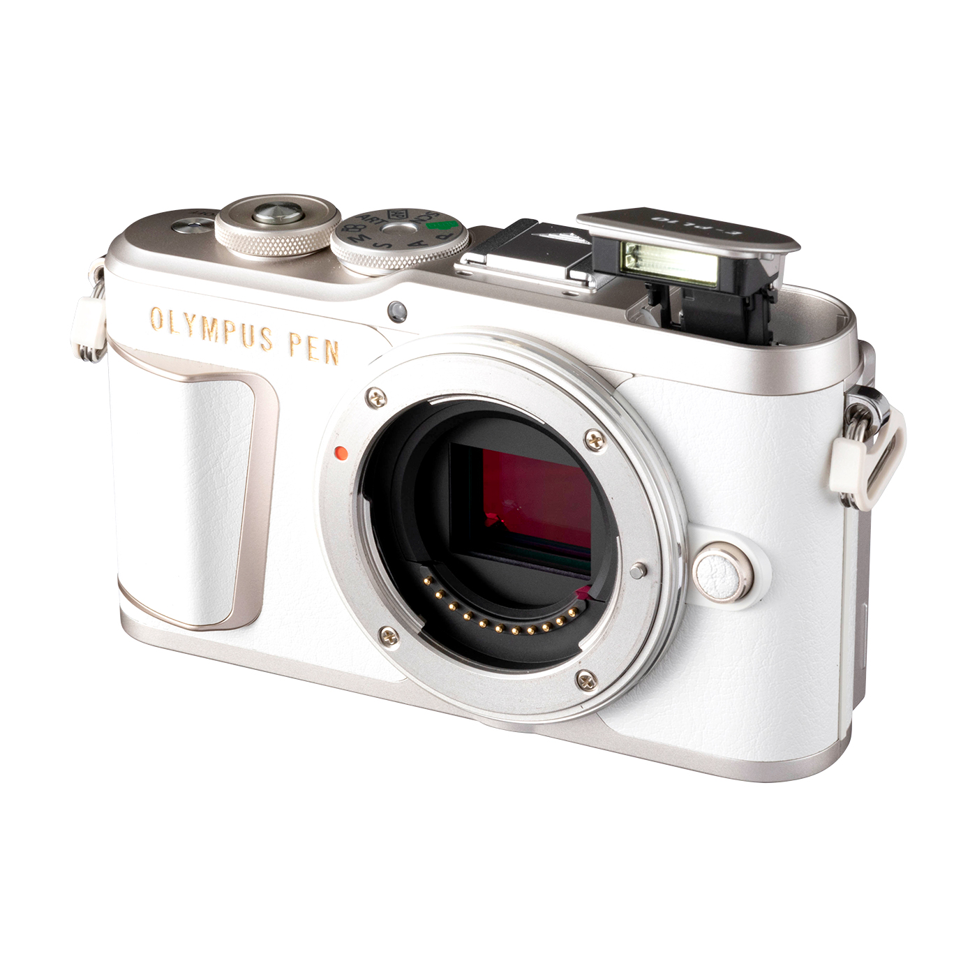 OMデジタルソリューションズ OLYMPUS PEN E-PL10を検証レビュー