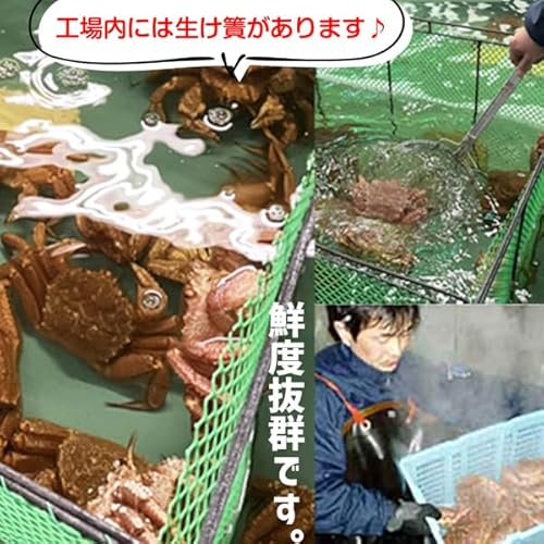 毛蟹 甲羅盛り 150g前後×2 4