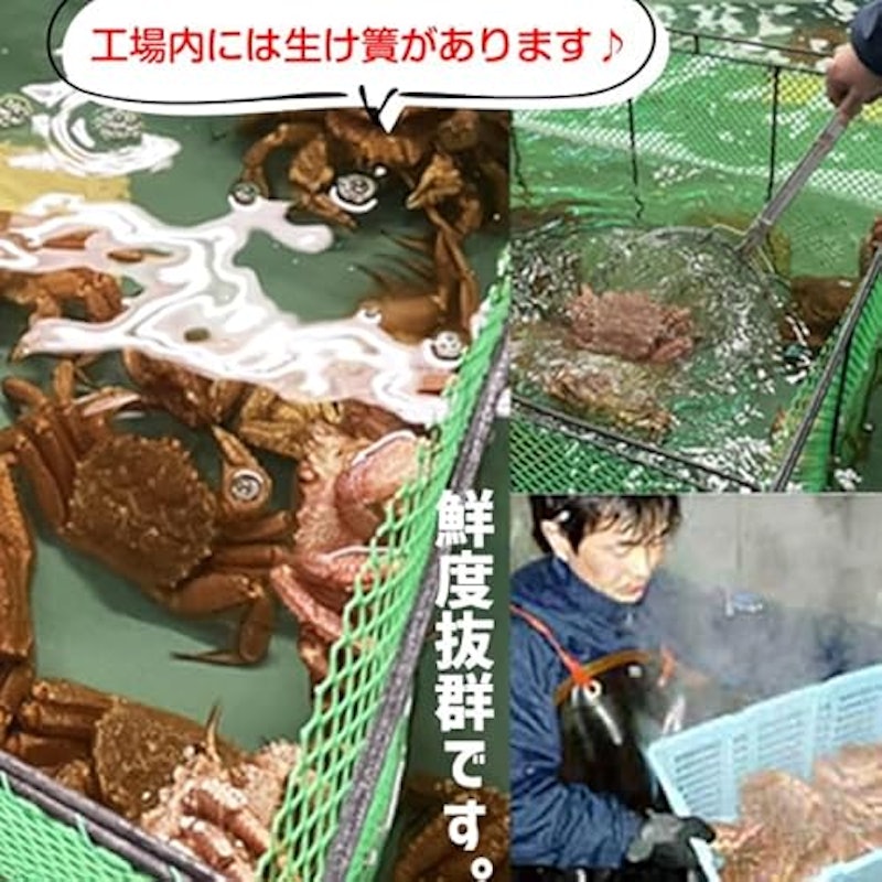 毛蟹 甲羅盛り 150g前後×2 4