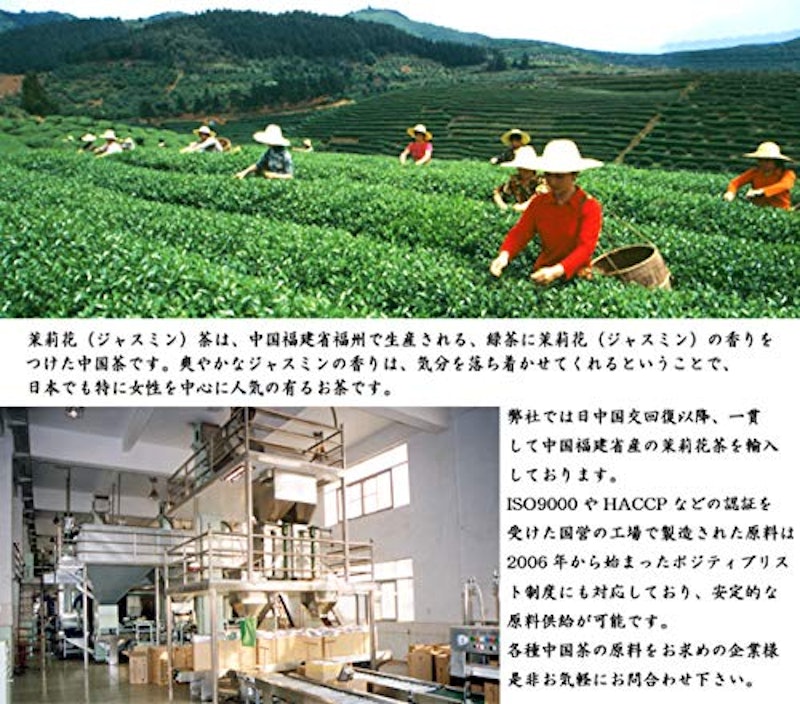 紅灯牌 ジャスミン茶 2