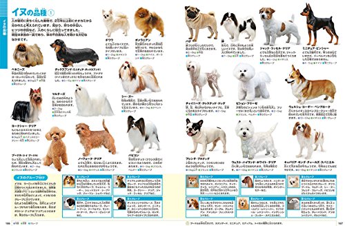 21年 動物 図鑑のおすすめ人気ランキング10選 Mybest