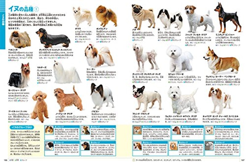 小学館の図鑑NEO 動物 4