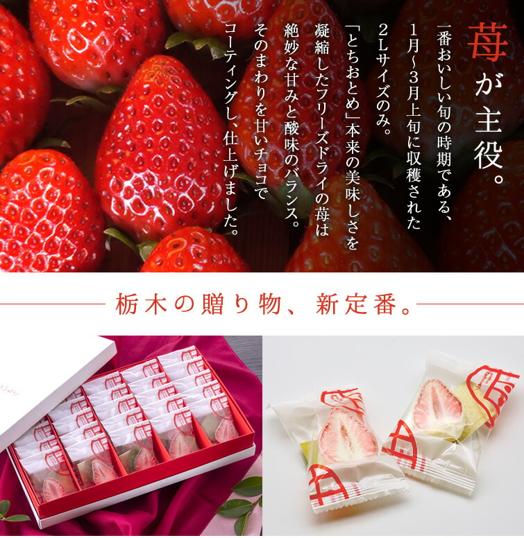 恋するいちごプレミアム 3