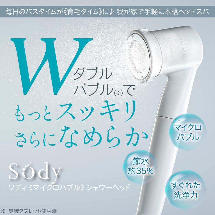 シャワーヘッド 1