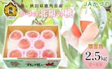 桃のふるさと納税返礼品のおすすめ人気ランキング【2026年8月】 4