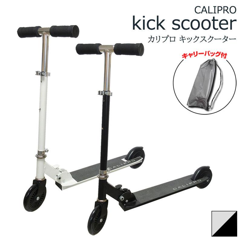 キックスクーター 1