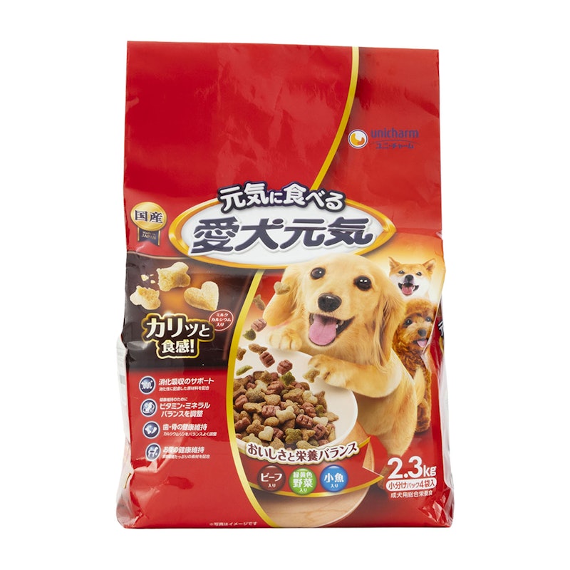 成犬用 1