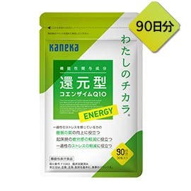 DHC コエンザイムQ10 包接体 徳用90日分 いぶかし