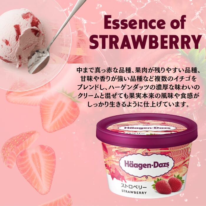 アイスクリーム 人気 6種 12個 詰め合わせ セット 2