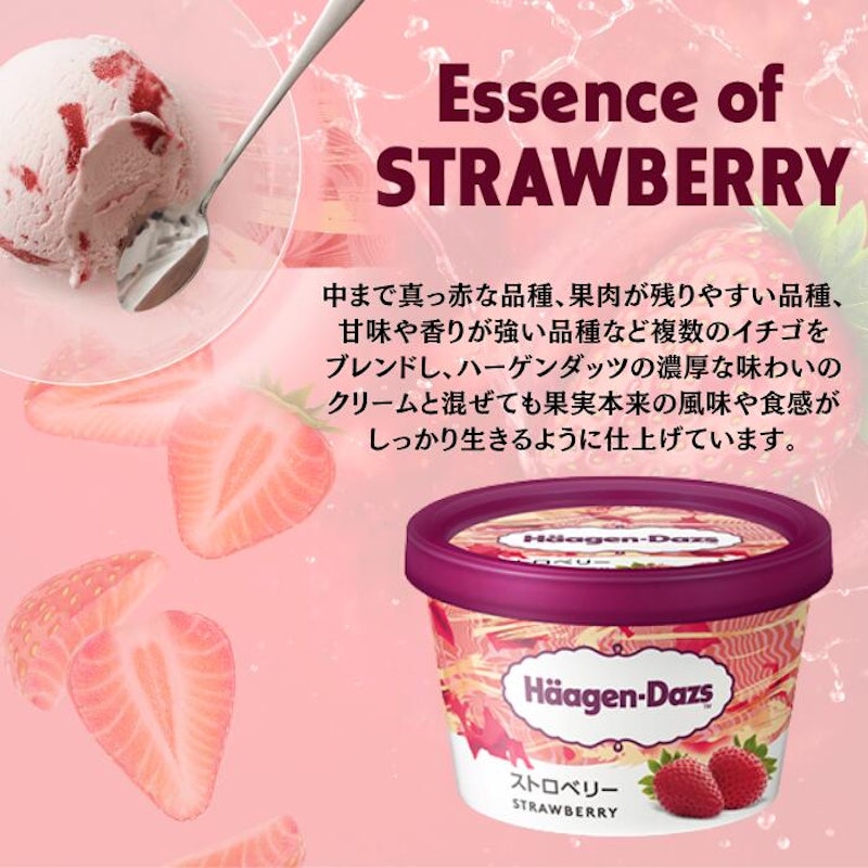 アイスクリーム 人気 6種 12個 詰め合わせ セット 2