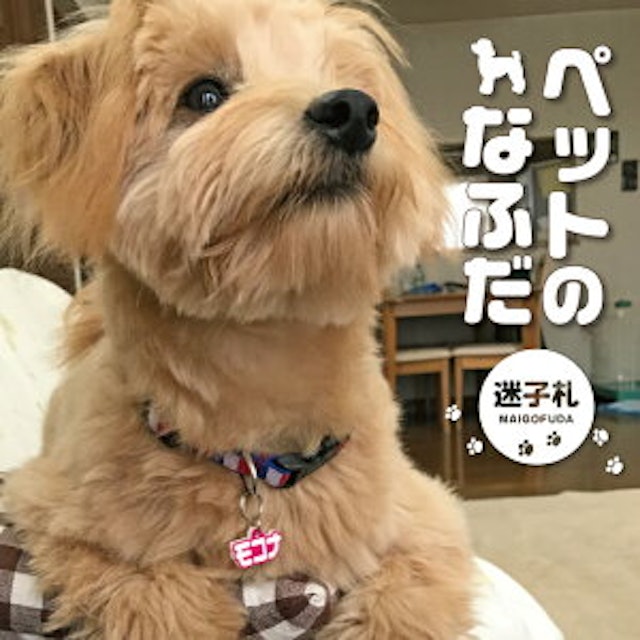 21年 犬用迷子札のおすすめ人気ランキング15選 Mybest 21年 犬用迷子札のおすすめ人気ランキング15選 Mybest