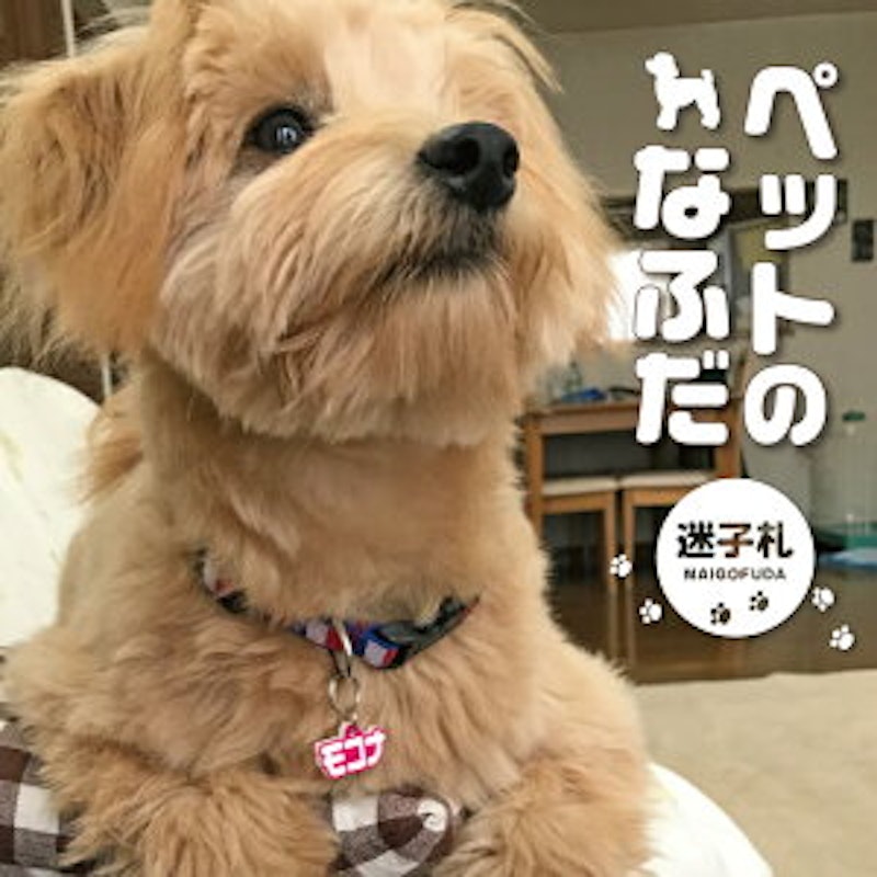 ペットの迷子札 1