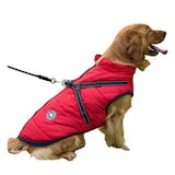 柴犬用の服のおすすめ人気ランキング【2026年9月】 5