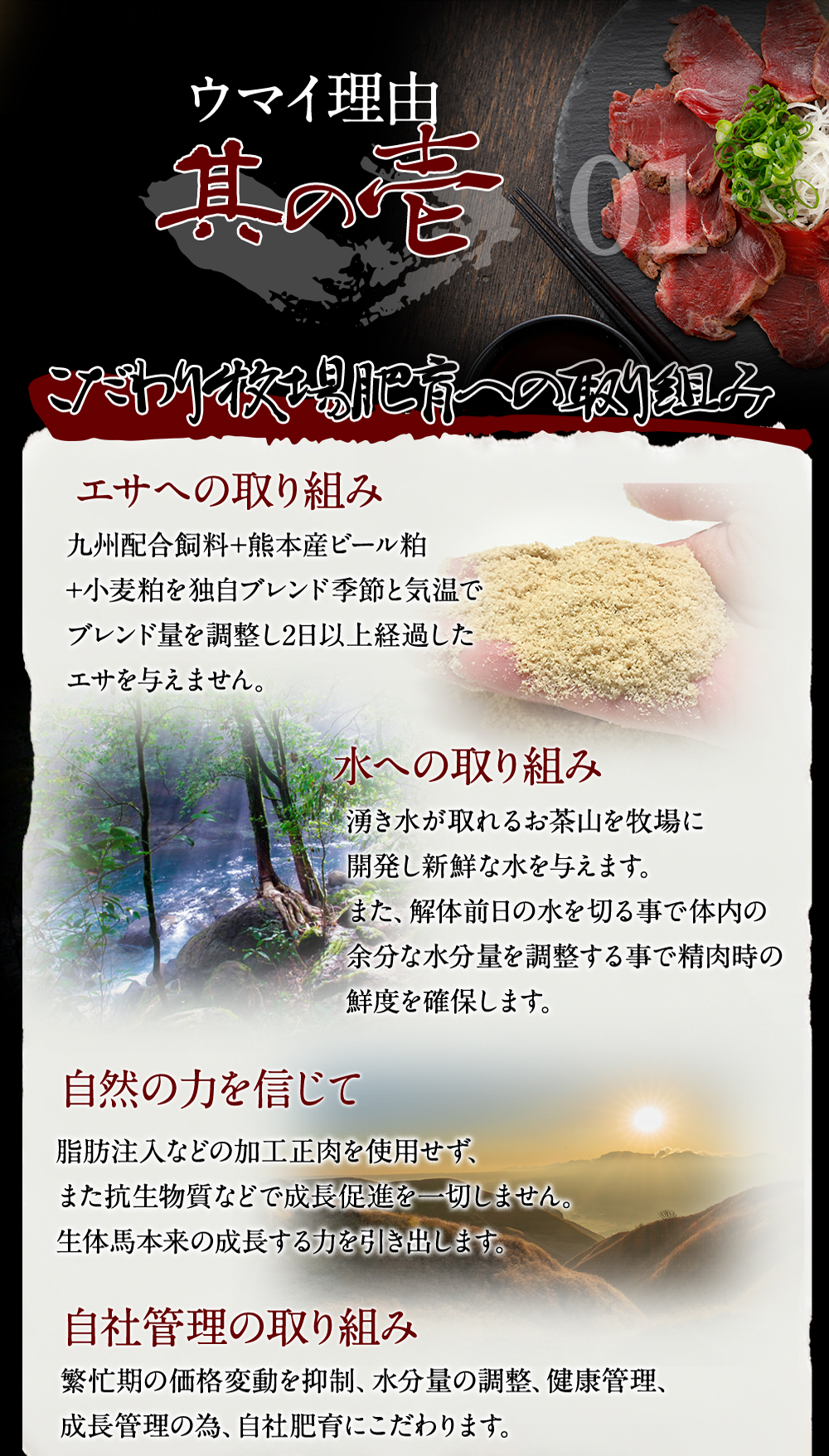 馬ホルモン大腸 2