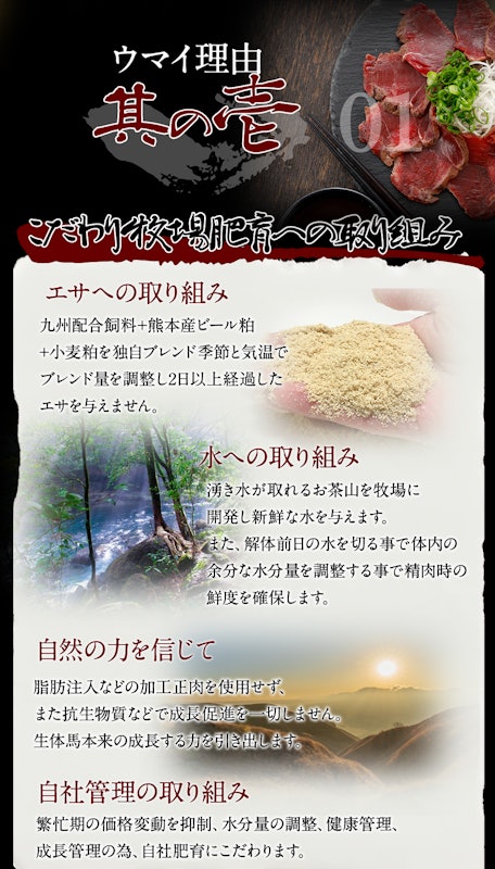 馬ホルモン大腸 2